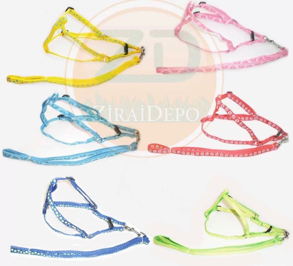 Köpek Kedi Göğüs Tasma Kolon Hrb-013