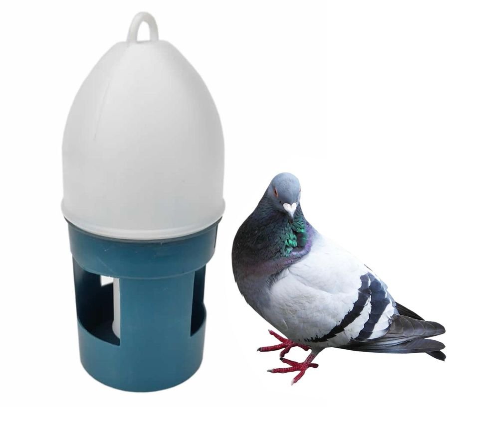 Güvercin Suluğu 1.5lt Kuş Civciv Tavuk Suluk